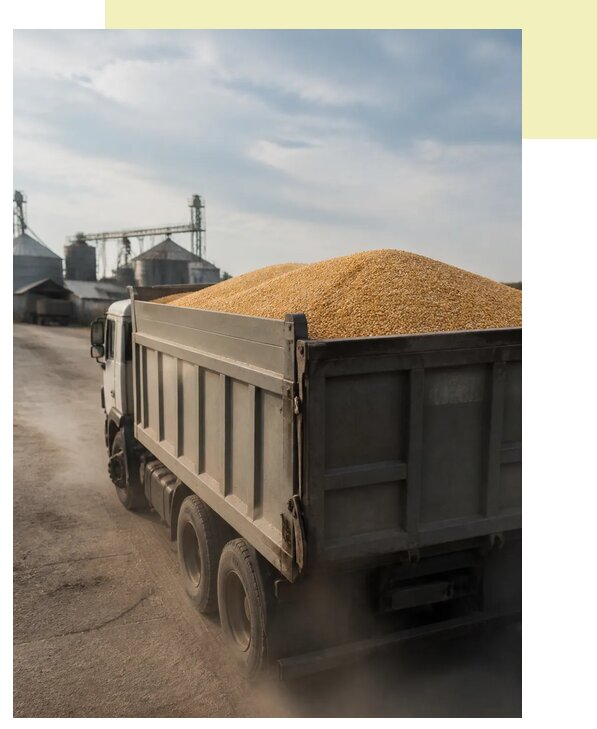 Перевозка сельхозпродукции навалом в Шебекино по цене от 3054 р. | Агросервис-Шбк